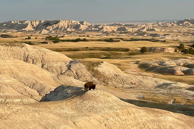 Badlands Sunset & Wildlife: Nature's Evening Glow - Stop 4: Pinnacles Overlook