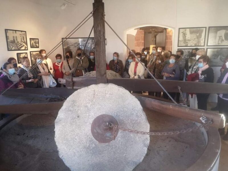 Baeza: Oil Tourism at Hacienda La Laguna - A Detailed Look at the Experience