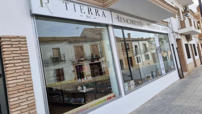 Baeza: Visit to an Organic Olive Grove + Oil Tasting - What to Expect from the Tour