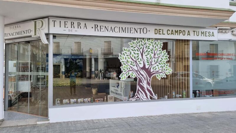 Baeza: Visit to an Organic Olive Grove + Oil Tasting - Why This Tour Works and Its Limitations