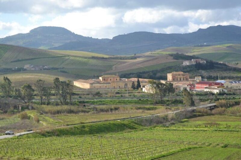 Baglio Florio Adamo: Oil Tasting - Discover the Charm of Sicily with Baglio Florio Adamo’s Oil Tasting Tour