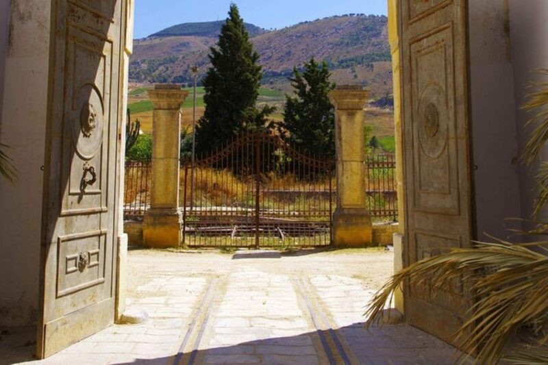 Baglio Florio Adamo: Oil Tasting - Who Will Love This Tour?