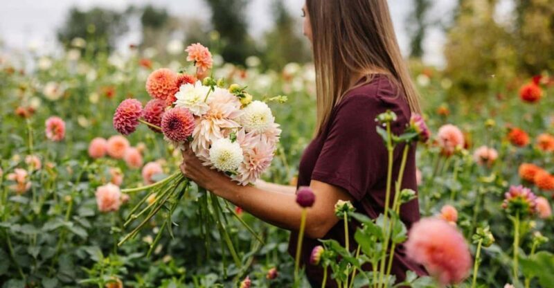 Bainbridge Island Discovery and Whiskey Tour - Final Thoughts