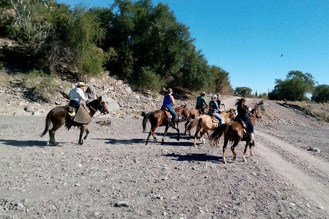 Baja Desert Horseback Riding Tour - What to Expect from the Baja Desert Horseback Riding Tour