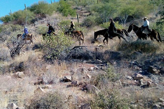 Baja Desert Horseback Riding Tour - Final Thoughts: Who Is This Tour Best For?