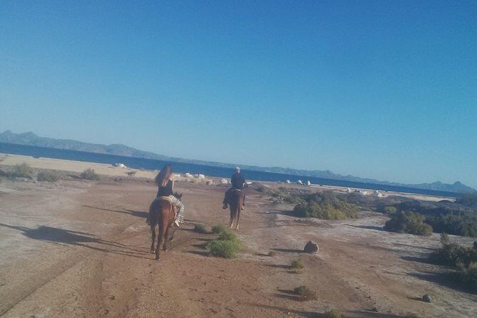 Baja Desert Horseback Riding Tour - FAQ
