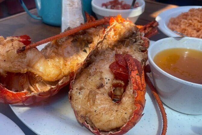 Baja Mexico Pacific Coastline Tour - Scenic Drive Along the Transpeninsular Highway