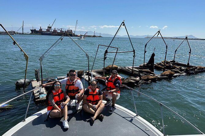 Baja Mexico Pacific Coastline Tour - Mirador Salsipuedes: A View You Won’t Forget