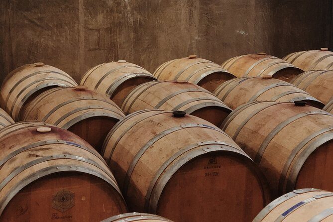 Baja Tour Guide wine tour - An Overview of What You’re Getting