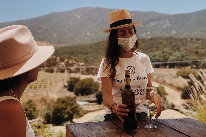 Baja Tour Guide wine tour - The Fine Details