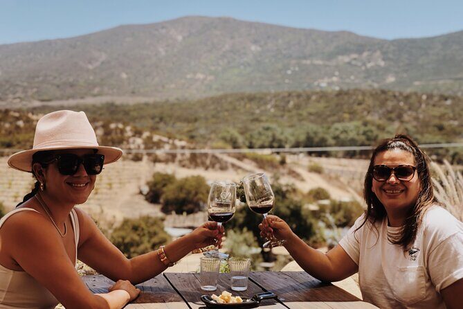 Baja Tour Guide wine tour - Who Will Love This Tour?