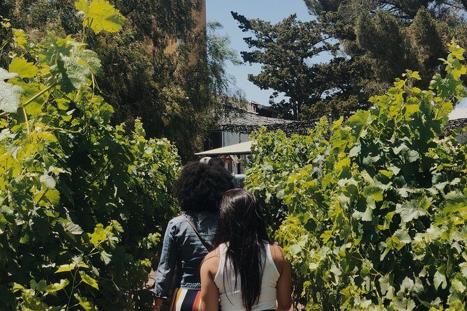 Baja Tour Guide wine tour - FAQ