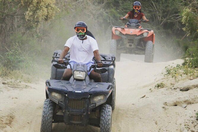Baja's ATV Desert and Beach Tour - Highlights from Traveler Reviews