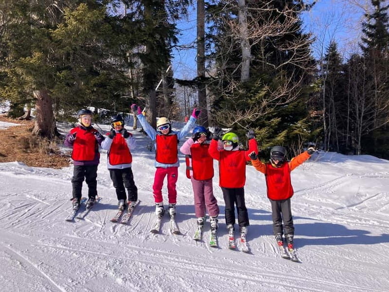 Bakuriani: Private or group Ski Lesson - What to Expect from This Ski Lesson Experience