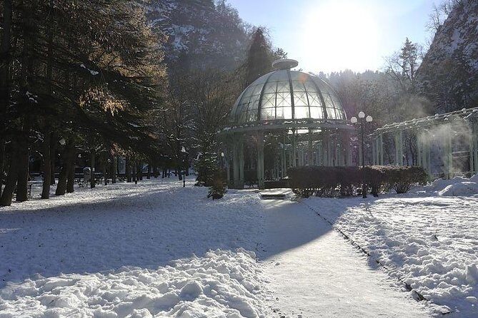 Bakuriani ski resort and the legendary Borjomi (Group Tour) - Who Should Consider This Tour?