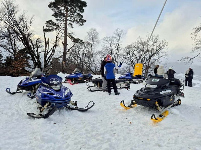 Bakuriani: Unforgetable snow activities from Kutaisi - Who’s This Tour Best For?
