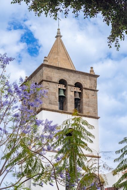 Balades Découverte Teide - La Orotava - Icod de los Vinos - Final Thoughts: Who Is This Tour Perfect For?