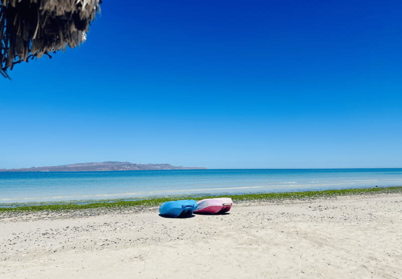 Balandra and Tecolote Beaches Day Trip with Lunch - The Real Experience: What Travelers Are Saying