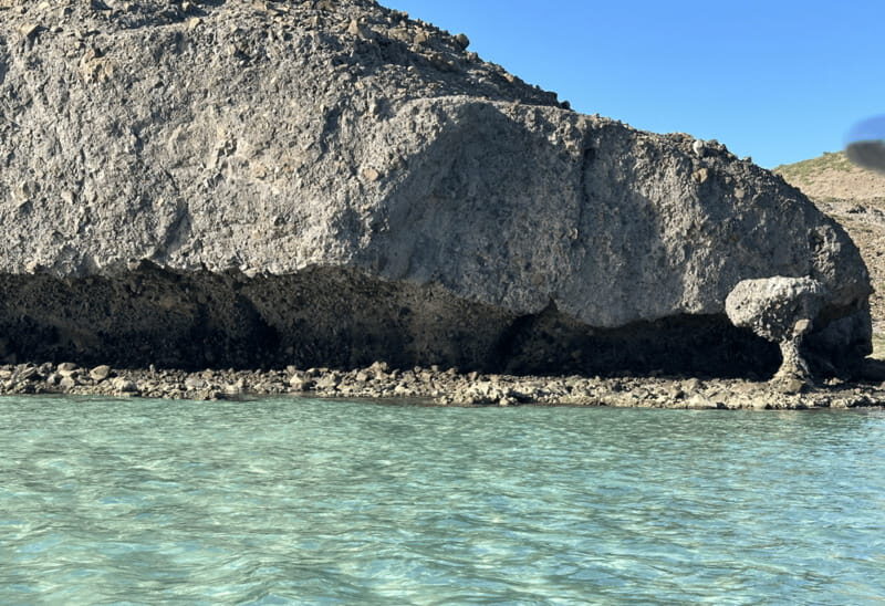 Balandra and Tecolote Beaches Day Trip with Lunch - Who Is This Tour Best For?