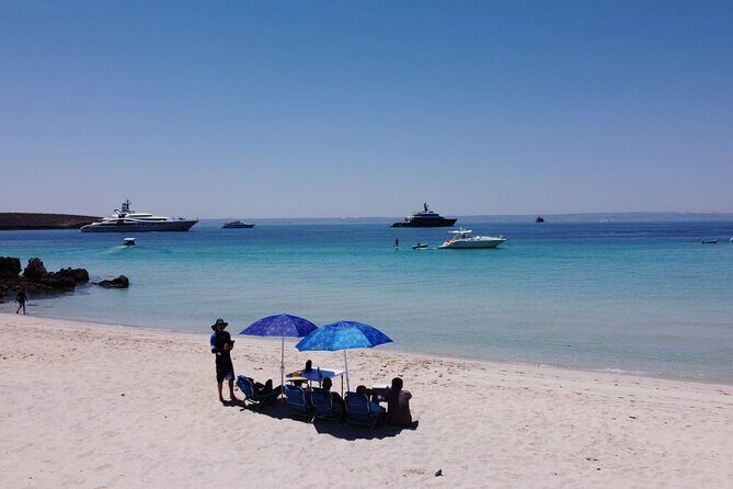 Balandra Bay Private Snorkeling and Sea Lions - The Experience from a Traveler’s Perspective