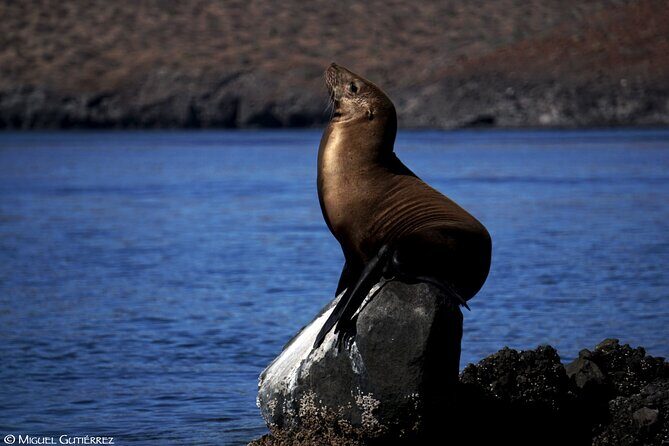 Balandra Private Boat Tour - The Experience in Detail