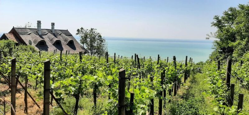 Balaton Full-Day Tour from Budapest - Final Thoughts: Who Is This Tour Best For?
