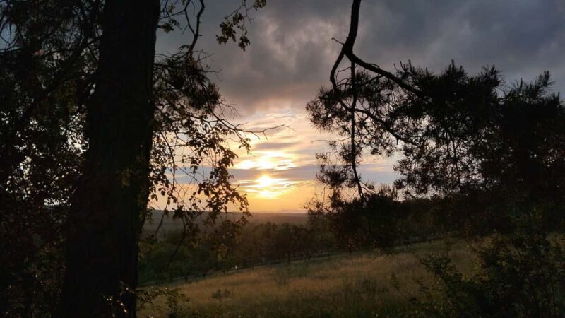 Balaton: Sunset Safari & Solar Telescope Experience for Two - Wrapping Up and Returning