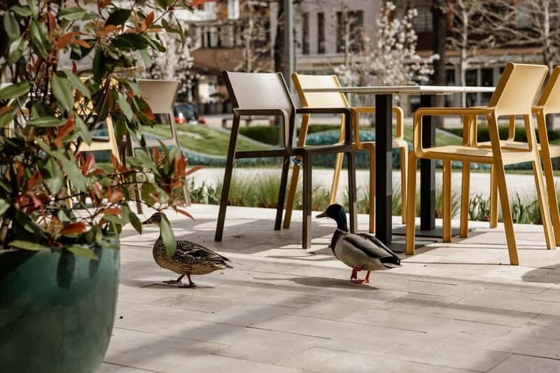 Balatonfüred: Zelna Wine Bistro Tasting Experience - Who Is This Experience Best For?