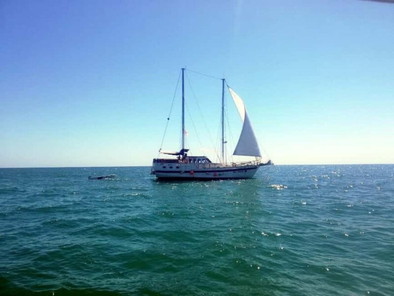 Balchik: 4-Hour Black Sea Cruise With Lunch and Drinks - Key Points