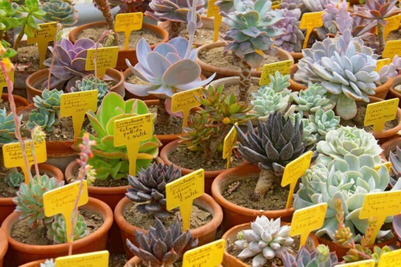 Balchik: Balchik Palace, Botanical Garden & Cape Kaliakra - An Honest Look at the Experience