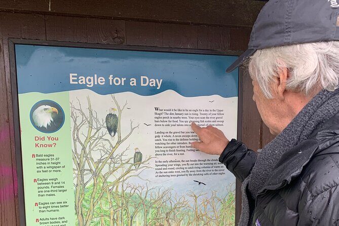 Bald Eagles Nesting Area Tour at Skagit River - In-Depth Look at the Experience