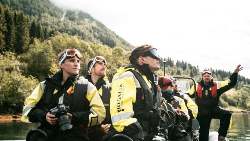 Balestrand: Fjord Sightseeing by Fast Boat - Key Points