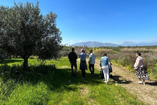 Balestrate Olive Grove Tour: Wine and Olive Oil Tasting - What to Expect from This Olive Grove Tour