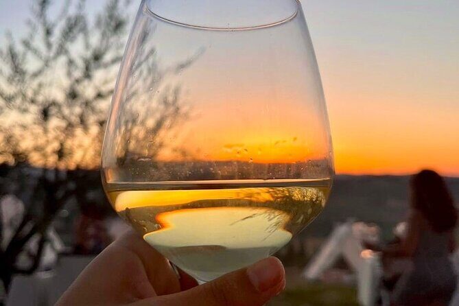 Balestrate Olive Grove Tour: Wine and Olive Oil Tasting - Who Will Love This Experience?