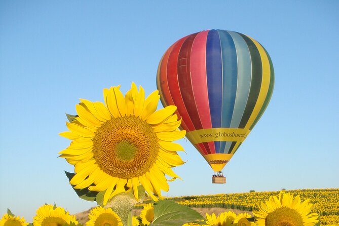Balloon Rides in Segovia with Optional transportation from Madrid - The Experience: What to Expect from Start to Finish