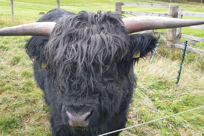 Balmoral Castle Tour From Inverness - An In-Depth Look at the Balmoral Castle Tour