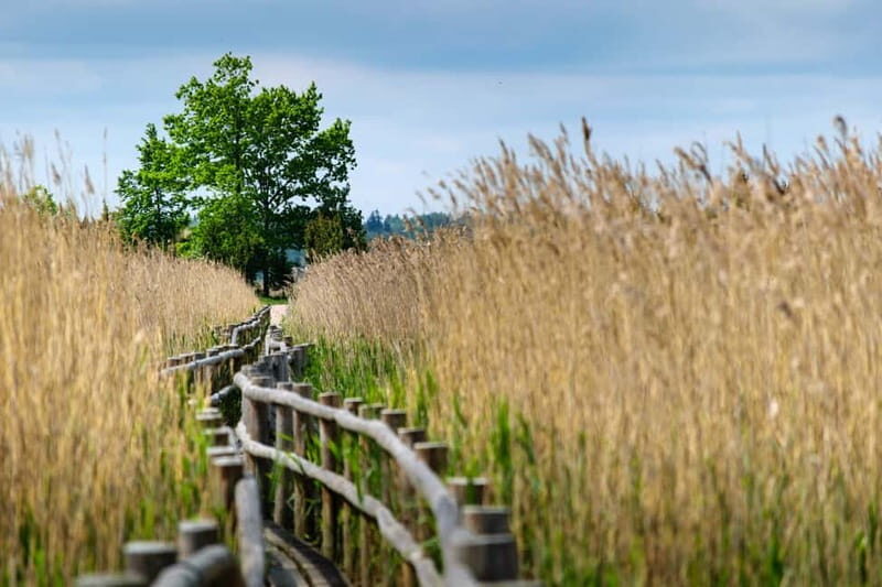 Baltic Sea Coastal Scenery and Cape Kolka From Riga - Frequently Asked Questions