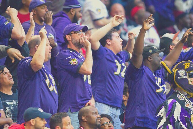 Baltimore Ravens Football Game Ticket at M&T Bank Stadium - What to Expect from the Experience