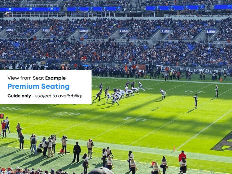 Baltimore: Ravens Football Game Ticket at M&T Bank Stadium - Is It Worth the Price?