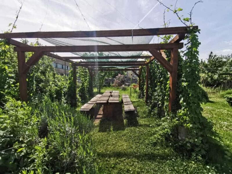 Bamberg: Beer & Brewery Tour - 2 Hour - English Or German - Key Points