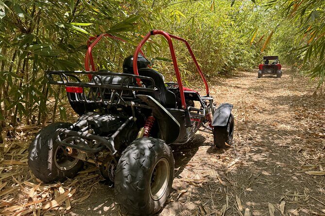 Bamboo Dune Buggy Tour - An In-Depth Look at the Bamboo Dune Buggy Tour