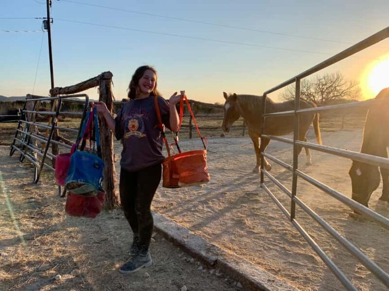 Bandera: Ranch Visit with Longhorns and Horses - What to Expect from Your Ranch Visit in Bandera