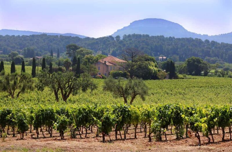 Bandol and Cassis: Full Day Wine Tour from Marseille - What to Expect on This Full-Day Wine Tour