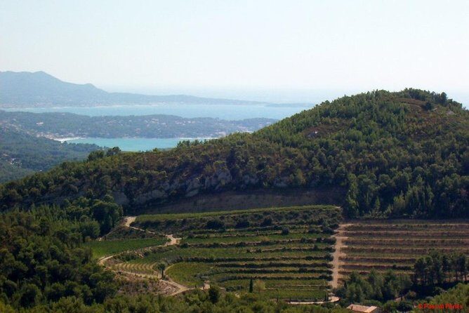 Bandol Wine Tour - 4 hour Private tour - Final Thoughts