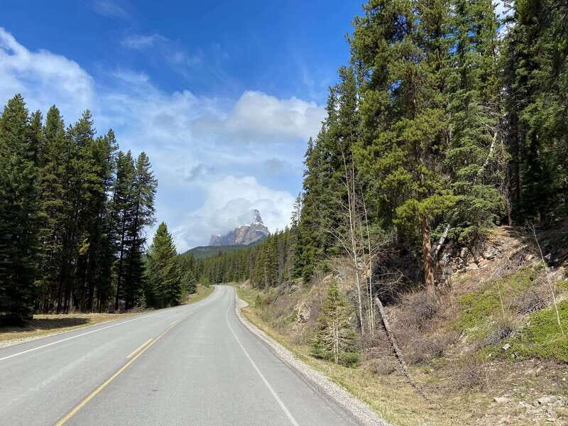 Banff: 4-Hour E-Bike and Walking Tour in Johnston Canyon - The Authentic Buzz from Reviews