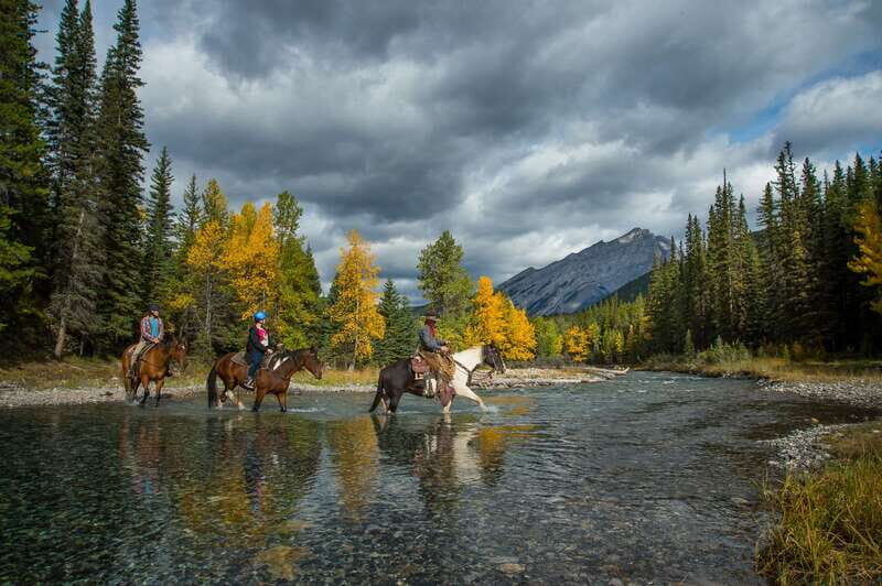 Banff: 4-Hour Sulphur Mountain Intermediate Horseback Ride - An In-Depth Look at the Sulphur Mountain Ride