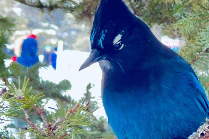 Banff and Yoho Rocky Mountain Discovery Day Tour from Calgary - The Itinerary: A Closer Look at Each Stop