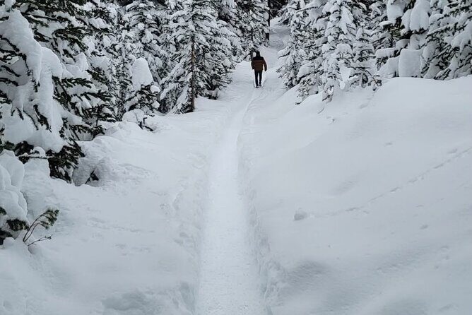 Banff and Yoho Rocky Mountain Discovery Day Tour from Calgary - Price and Value