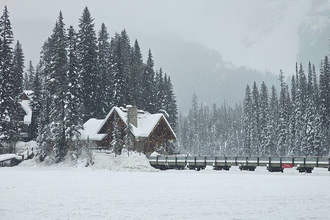 Banff and Yoho Winter Wonderland Private Tour - What You Can Expect from the Experience