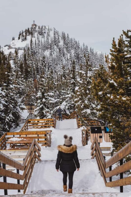 Banff: Banff Town, Gondola, and Johnston Canyon Day Tour - Cost and Value: Is It Worth It?